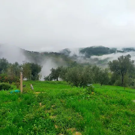 ベッド・アンド・ブレックファスト Arcadia