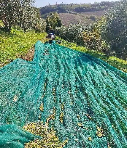 Arcadia Bed and breakfast