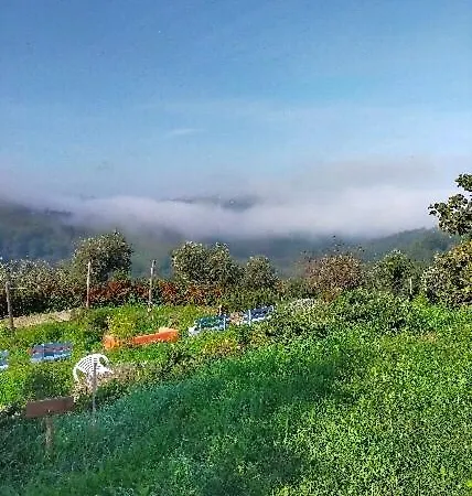 Arcadia Bed and Breakfast *