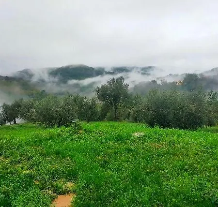 Bed and Breakfast Arcadia