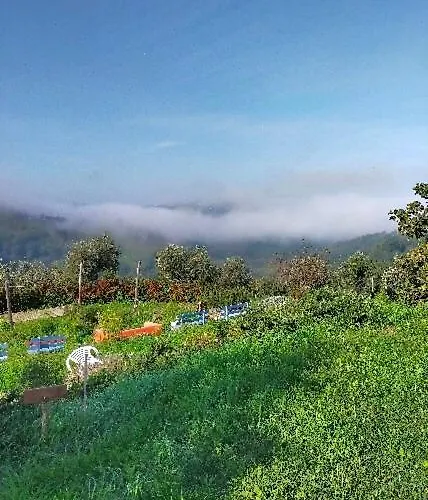 Arcadia Nocleg ze śniadaniem *