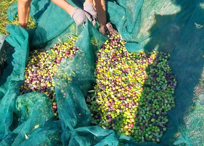 Nocleg ze śniadaniem Arcadia *