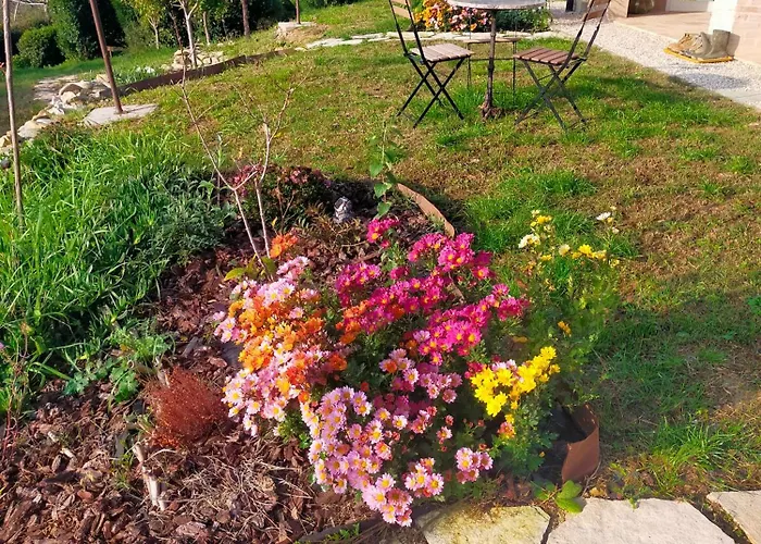 Arcadia Nocleg ze śniadaniem