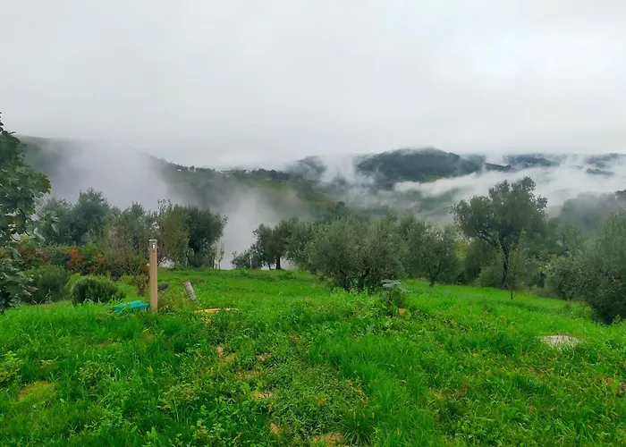 Nocleg ze śniadaniem Arcadia